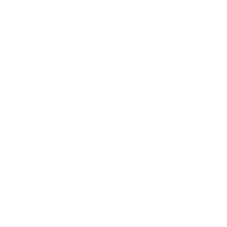 Mauerwächterin