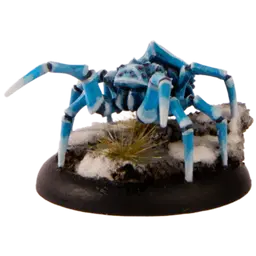 Polarspinne