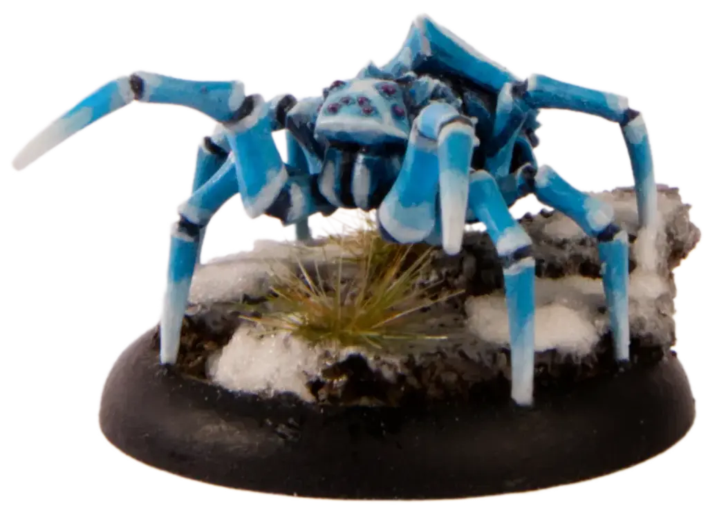 Polarspinne