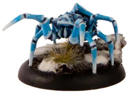 Polarspinne