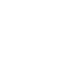 Seelenschlange