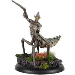 Sichelmantis