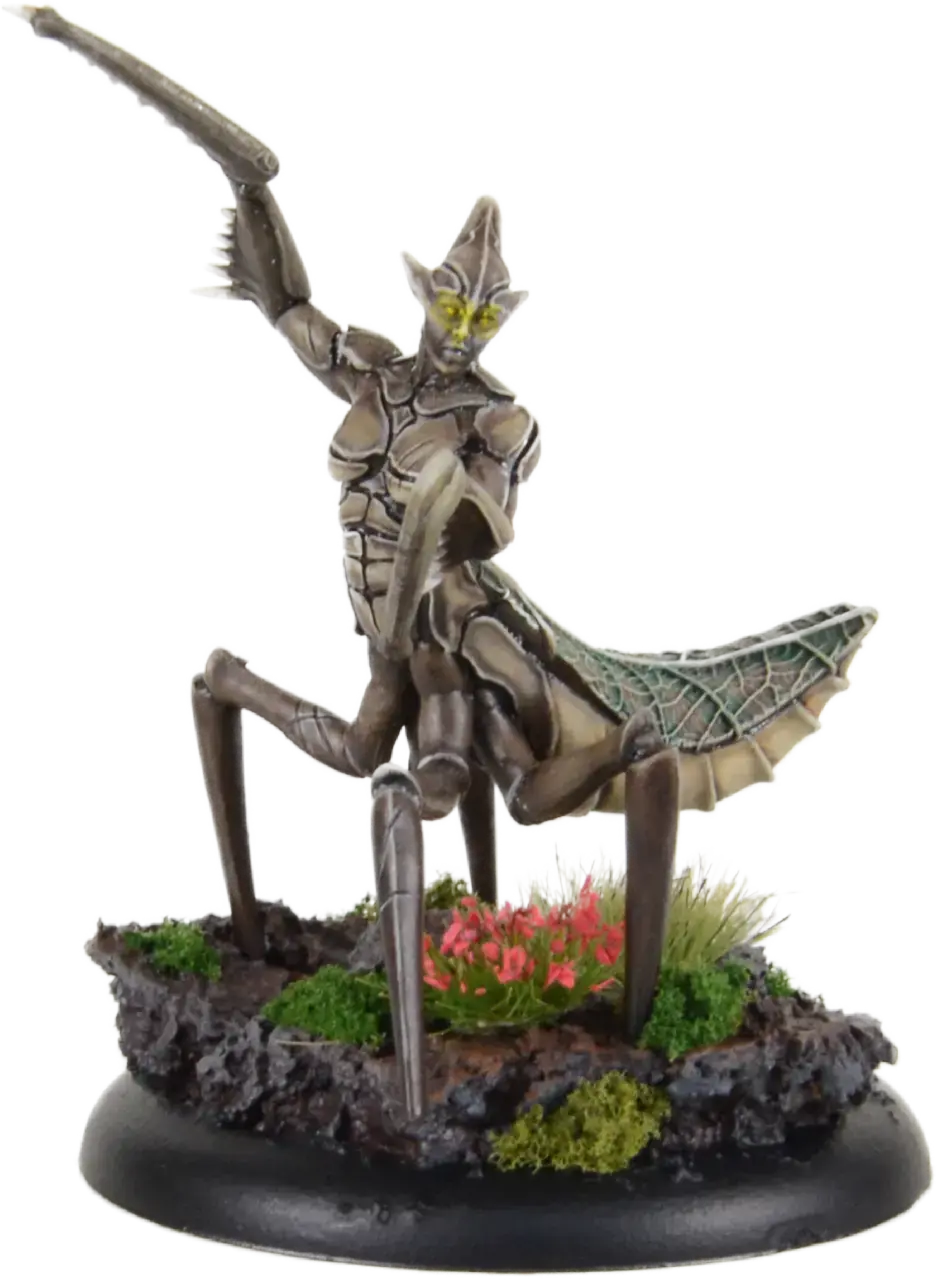 Sichelmantis